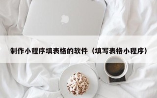 定边制作小程序填表格的软件（填写表格小程序）